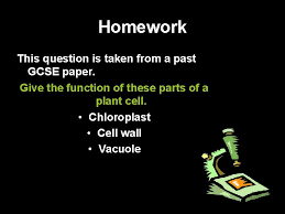 We did not find results for: Life Processes And Living Things Aqa Gcse Science