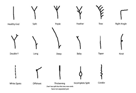 This kind of hair loss is called telogen effluvium. Hair Breakage 5 Causes 5 Solutions Natural Hair Styles Hair Breakage Hair Growth Charts