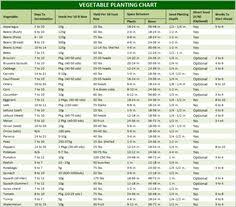 28 Best Veggie Growing Charts Images Vegetable Garden