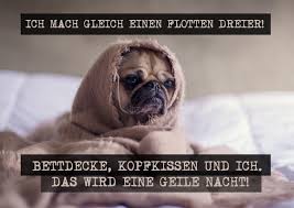 Wenn wir nur halb so einschüchternd während einige kühe wie hunde sitzen, sitzen einige hunde eigentlich gar nicht wie hunde. Flotter Dreier Witzige Karten Spruche Echte Postkarten Online Versenden