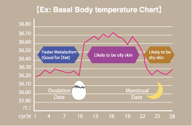 Image result for Basal Body Temperature