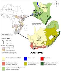It's so cute to see my 2 year old daughter roar. Differentiating Captive And Wild African Lion Panthera Leo Populations In South Africa Using Stable Carbon And Nitrogen Isotope Analysis Springerlink