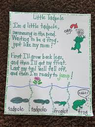 Frog Life Cycle Poem English Writing Skills English Writing Frog Poem