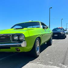 Image result for Light Green 1970 Challenger