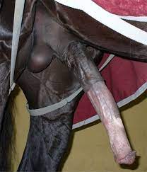 Bitede cheval