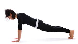 In chaos theory, the butterfly effect is the sensitive dependence on initial conditions in which a small change in one state of a deterministic nonlinear system can result in large differences in a later state. How To Do Santolanasana Balancing Pose Himalayan Yoga Association Yoga Ashram