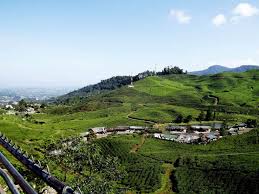 Periksa daftar tempat wisata menarik di puncak bogor, jawa barat. 8 Destinasi Wisata Yang Wajib Dikunjungi Ketika Ke Puncak Bogor Daihatsu Indonesia