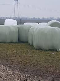 Cultura de lucernă este pariul pe care un tânăr din localitatea șopârlița, județul olt, îl face an de an. Vand 1000 Baloti Lucerna Infoliati Din Samanta Certificata