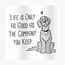 Check spelling or type a new query. Dogs Are Best Friends Quotes Posters Redbubble