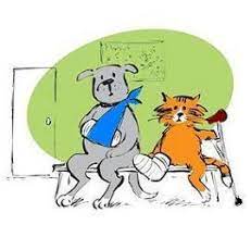 Our affordable cat and dog vaccination clinics offer quality, preventive care to help ensure your pet's health & wellness. Chicago Pet Clinic Home Facebook