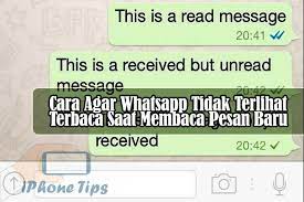 9 Cara Centang Biru Whatsapp Tidak Muncul Meskipun Pesan Sudah Di Baca Pada Hp Android Scaleovenstove