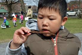 Weekend in photos, April 21, 2014