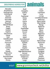Pin By Tahseen Husain On English Describing Words Writing Words Learn English Words
