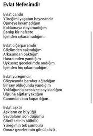 Susi Su Adli Kullanicinin Can Sozler Panosundaki Pin Ozlu Sozler Metin Mesajlari Guzel Soz