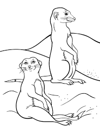 Select from 35302 printable coloring pages of cartoons, animals, nature, bible and many more. Free Meerkat Coloring Page Animal Coloring Pages Coloring Pages Colorful Drawings