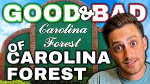 Welcome to Horry County Schools