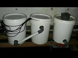 Cara Membuat Filter Kolam Koi Dari Ember