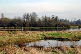 2600 sw hillsboro hwy hillsboro, or 97124 Jackson Bottom Wetlands Preserve In Hillsboro Oregon Kid Friendly Attractions Trekaroo