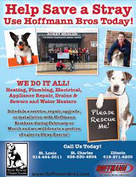 Be sure to check out our upcoming trivia night. Stray Rescue Of St Louis Events Archive