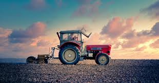 Muss das Hamstern sein? Das sagt Ernst Buck vom Kreisbauernverband  Ulm-Ehingen