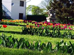 Evenimentul cu începere de la ora 14:00, se va desfășura pe teritoriul grădinii botanice naționale, mun. 10 Lucruri Interesante Despre GrÄƒdina BotanicÄƒ Din Cluj Napoca Cluj Travel