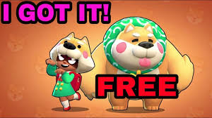 Well you're in luck, because here they come. I Got Shiba Nita At No Cost Shiba Nita Gameplay Playing Funny Matches With