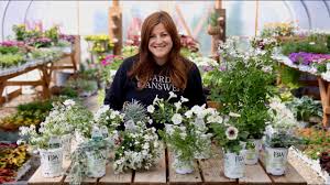 One blossom here and there will be. White Blooming Annuals For Our Moon Garden Garden Answer Youtube