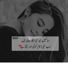 Shoaib Anwer (shshines26)