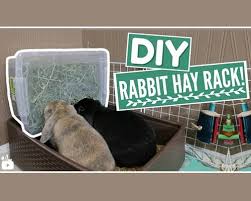 Looking for a good deal on quail rack? Diy Plastic Rabbit Hay Rack Rabbit Hay Rabbit Litter Bunny Litter Box