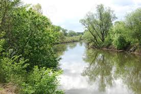 Jalonada de montañas sobre las cuales se erigen las favelas, presume a la vez de playas famosas… Rio De Primavera Rio Y Bosque De La Primavera Composicion De La Naturaleza Reflexion De Las Nubes En El Rio De La Primavera Arboles En La Orilla De Un Rio En Primavera