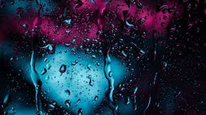 Download 2560x1440 Wallpaper Water Drops Surface Dark Dual Wide Widescreen 16 9 Widescreen 2560x1440 Hd Wallpaper Dark Wallpaper Background Hd Wallpaper