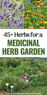 Maybe you would like to learn more about one of these? Starting A Medicinal Herb Garden 45 Medicinal Plants To Grow