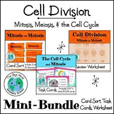 Science olympiad mock test 1. Meiosis Mitosis Worksheet Teachers Pay Teachers