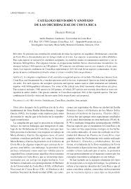 Image result for Microcharis asparagoides