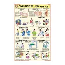 Cancer Charts Human Diseases Charts Kondhwa Pune Bep