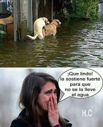 Pin By Dulce Zapata On Memes Divertidos Humor Funny Memes Bad Mood