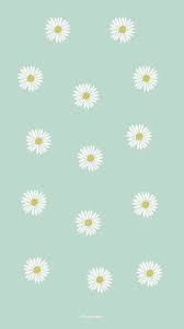Fond D Ecran Paquerettes Cute Home Screen Wallpaper Simple Iphone Wallpaper Iphone Wallpaper Vintage
