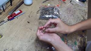 In this video, sam youd, head gardener at the famous tatton park gardens, shows how to properly dead head your lupins. How To Harvest And Collect Lupine Seeds Youtube