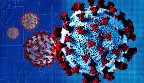 Científicos británicos estiman que la variante delta del coronavirus, identificada por primera vez en india, es un. Covid Lo Que Debes Saber Sobre La Variante Delta