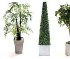 Nel nostro assortimento di piante artificiali, sia per interni sia per esterno, si potranno trovare tulipani finti, rose finte, pendenti da balcone, edere, geranei, fiori esotici e molte altre varietà,. Piante Finte
