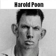 Harold Poon Discography: Vinyl, CDs, & More