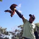 Image result for Oedina