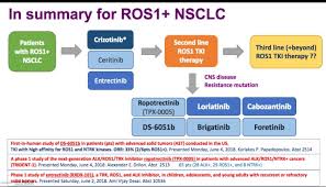 Image result for ROS1 Inhibitor