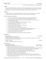software developer resume sample
