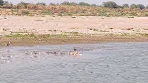 Observing that the right path is is not being adopted for rejuvenating river ganga, noted water expert rajendra singh. B1okh3kohxiuhm