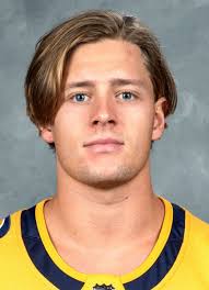 Carl Persson (b.1995) Hockey Stats and Profile at hockeydb.com