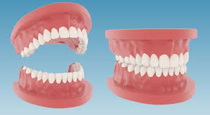 Free C4d 3d Mode Teeth Dentures The Pixel Lab Dentures Teeth Pixel