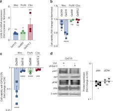 Maybe you would like to learn more about one of these? Macropinocytosis Requires Gal 3 In A Subset Of Patient Derived Glioblastoma Stem Cells Communications Biology