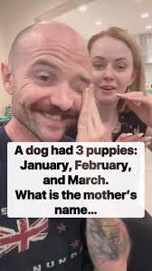 A dog's puppies puzzle