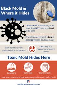 Showers are inviting for the type of mold that can cause health issues. What Are The Symptoms Of Black Mold Exposure Certified Restoration
